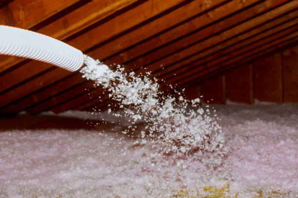 Best Insulation Materials and Products in Punta Rassa, FL
