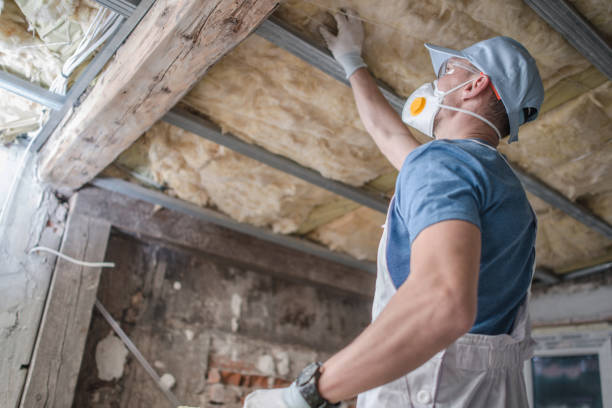 Best Insulation Installation Services in Punta Rassa, FL