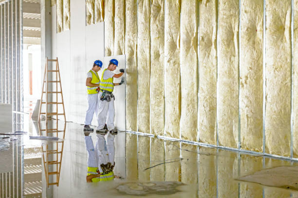 Best Residential Insulation in Punta Rassa, FL